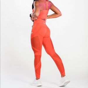 Physiq Apparel Enlighten Seamless leggings